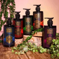 گینزا-خورشید حافظ جنوب